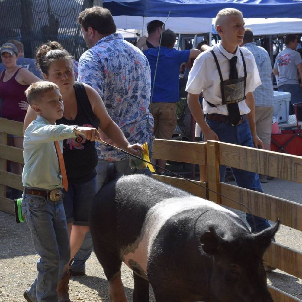 Meet your Posher, Charlie